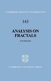 Analysis on Fractals