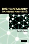 Defects and Geometry in Condensed Matter Physics