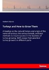 Turkeys and How to Grow Them