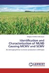 Identification and Characterization of MLND Causing MCMV and SCMV