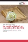 La mística liminal en la poetisa Del Castillo