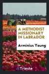 A Methodist missionary in Labrador