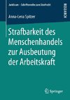 Strafbarkeit des Menschenhandels zur Ausbeutung der Arbeitskraft