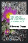 The secret of Narcisse; a romance