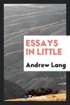 Essays in little