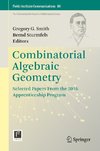 Combinatorial Algebraic Geometry