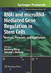 RNAi and microRNA-Mediated Gene Regulation in Stem Cells