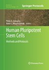 Human Pluripotent Stem Cells