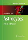 Astrocytes