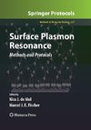 Surface Plasmon Resonance