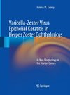 Varicella-Zoster Virus Epithelial Keratitis in Herpes Zoster Ophthalmicus