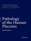 Pathology of the Human Placenta