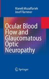 Ocular Blood Flow and Glaucomatous Optic Neuropathy