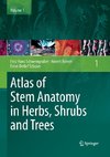 Atlas of Stem Anatomy in Herbs, Shrubs and Trees