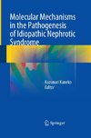 Molecular Mechanisms in the Pathogenesis of Idiopathic Nephrotic Syndrome