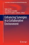 Enhancing Synergies in a Collaborative Environment