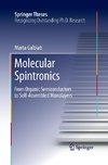 Molecular Spintronics