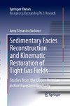 Sedimentary Facies Reconstruction and Kinematic Restoration of Tight Gas Fields