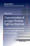 Characterization of an Upper Permian Tight Gas Reservoir