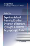 Experimental and Numerical Study of Dynamics of Premixed Hydrogen-Air Flames Propagating in Ducts