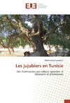 Les jujubiers en Tunisie