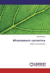 Aframomum corrorima