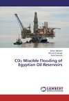 CO2 Miscible Flooding of Egyptian Oil Reservoirs