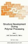 Structure Development During Polymer Processing