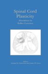 Spinal Cord Plasticity