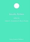 Insulin Action