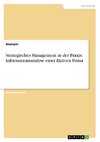 Strategisches Management in der Praxis. Informationsanalyse einer fiktiven Firma