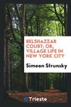 Belshazzar court; or, Village life in New York city