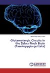 Glutamatergic Circuits in the Zebra Finch Brain (Taeniopygia guttata)