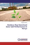 Outdoor Dye-Sensitized Solar Cell Performance in Kenya