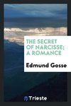 The secret of Narcisse; a romance