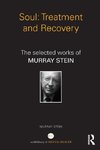 Stein, M: Soul: Treatment and Recovery