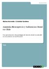 Amnistía, Menosprecio y Sufrimiento Moral en Chile