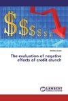 The evaluation of negative effects of credit crunch