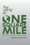 The World in One Square Mile