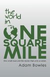 The World in One Square Mile