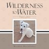 Wilderness to Water