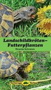 Landschildkröten-Futterpflanzen