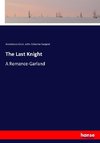 The Last Knight