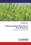 Morphological Diversity in Rice Acessions