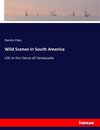 Wild Scenes in South America