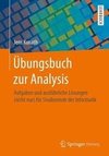 Übungsbuch zur Analysis