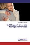 Child Support Grant and teenage motherhood