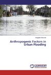 Anthropogenic Factors in Urban Flooding