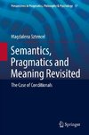 Semantics, Pragmatics and Meaning Revisited