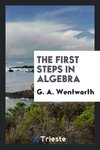 The First Steps in Algebra